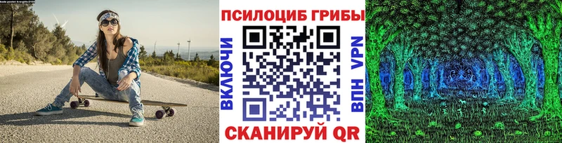 Купить  Находка  Псилоцибиновые грибы мицелий 